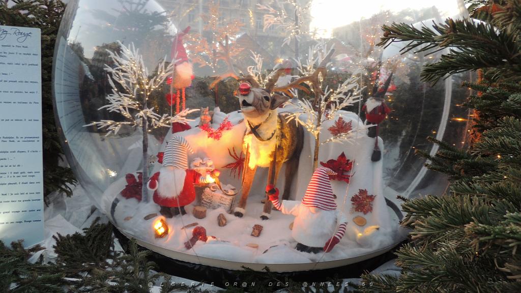 2023 12 19 TOULON AVANT NOEL (59).JPG -           